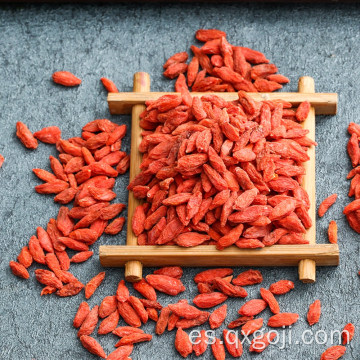 Bayas de goji orgánicas certificadas buenas para la salud